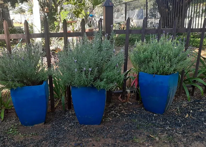 3 Lavenders Apartment