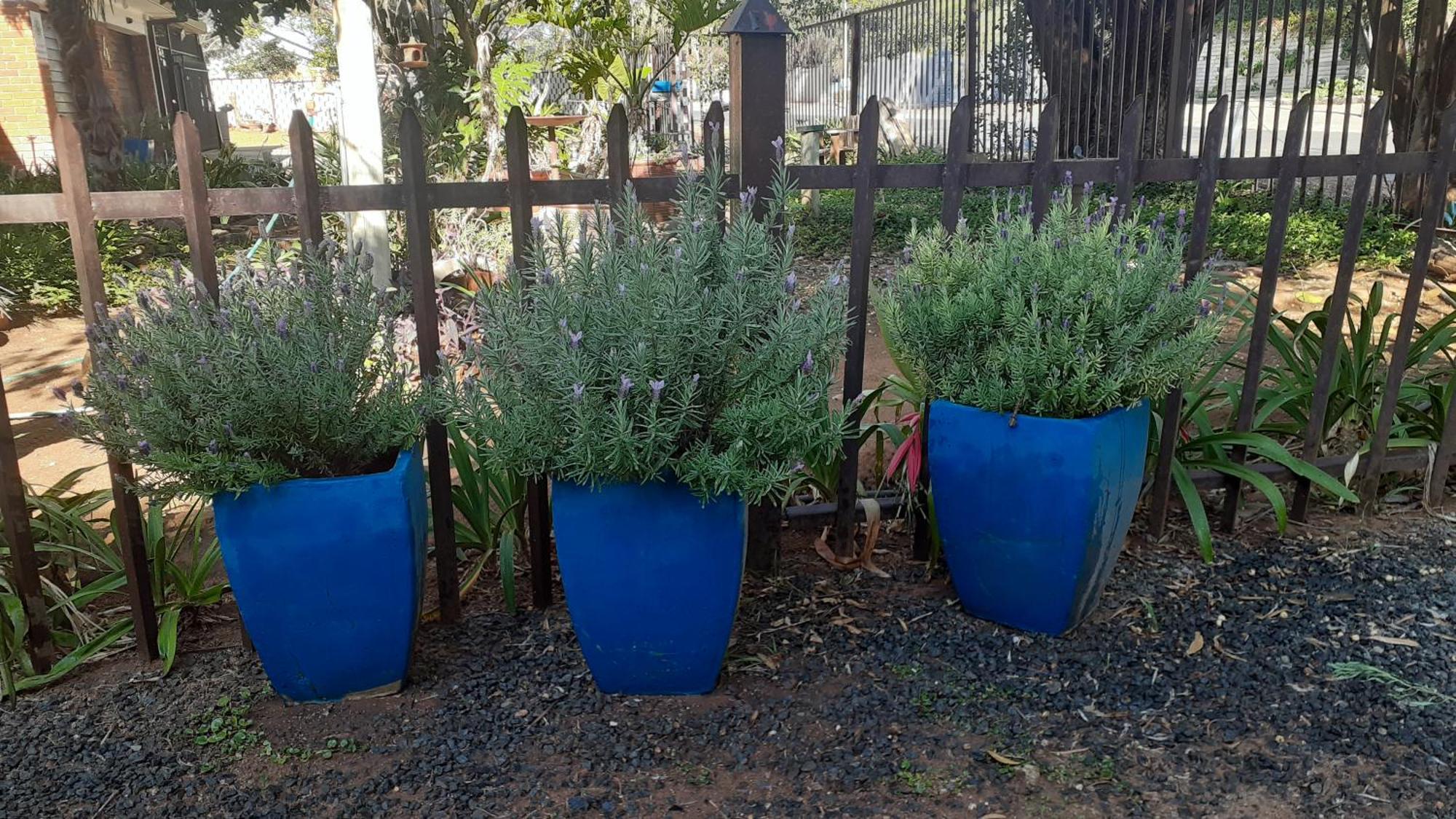Apartment 3 Lavenders Bloemfontein